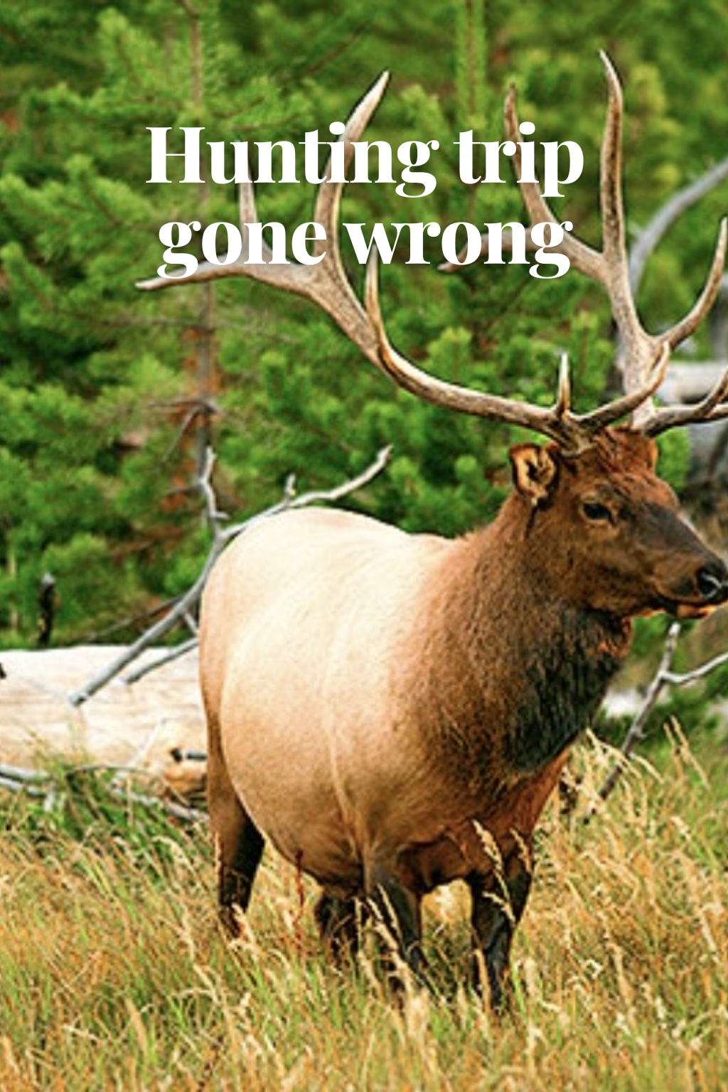 Hunting trip gone wrong